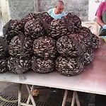 Dom wakacyjny Calarossa