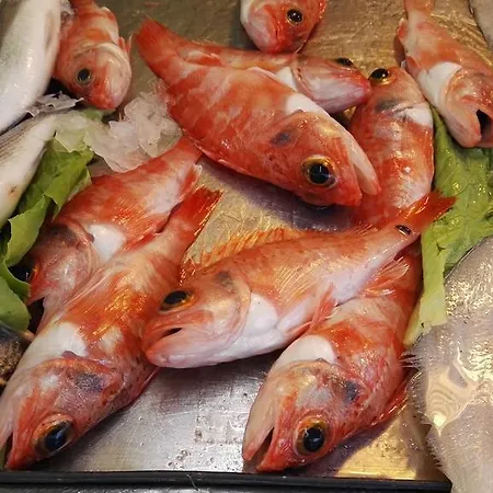 Calarossa Casa vacanze *